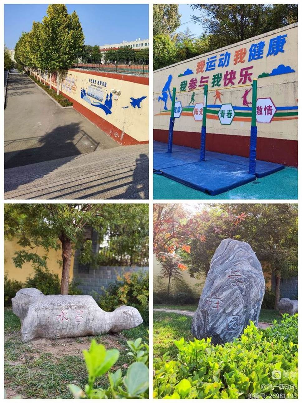 图片包含 照片, 不同, 华美, 草

描述已自动生成