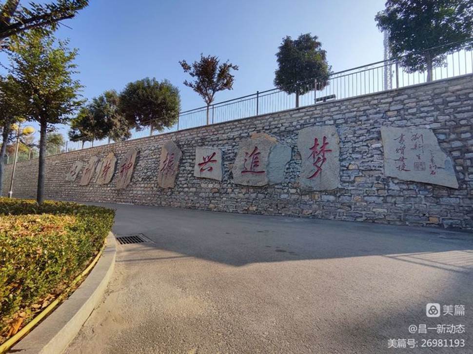路上有许多树

描述已自动生成