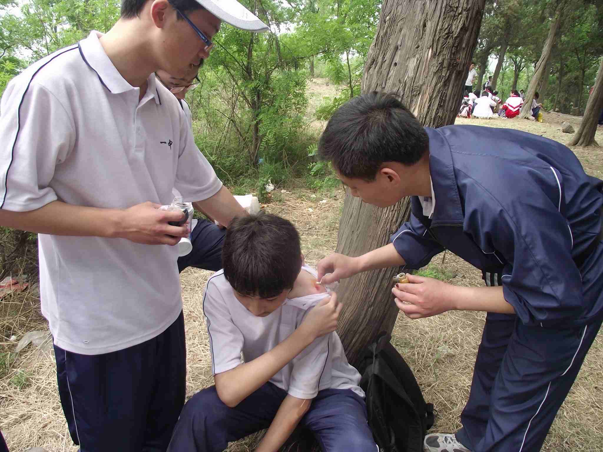 13.jpg